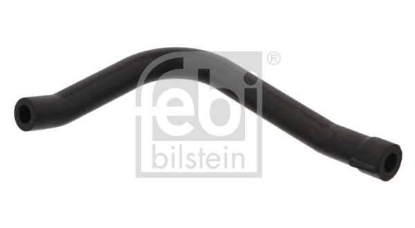 Hose, crankcase ventilation